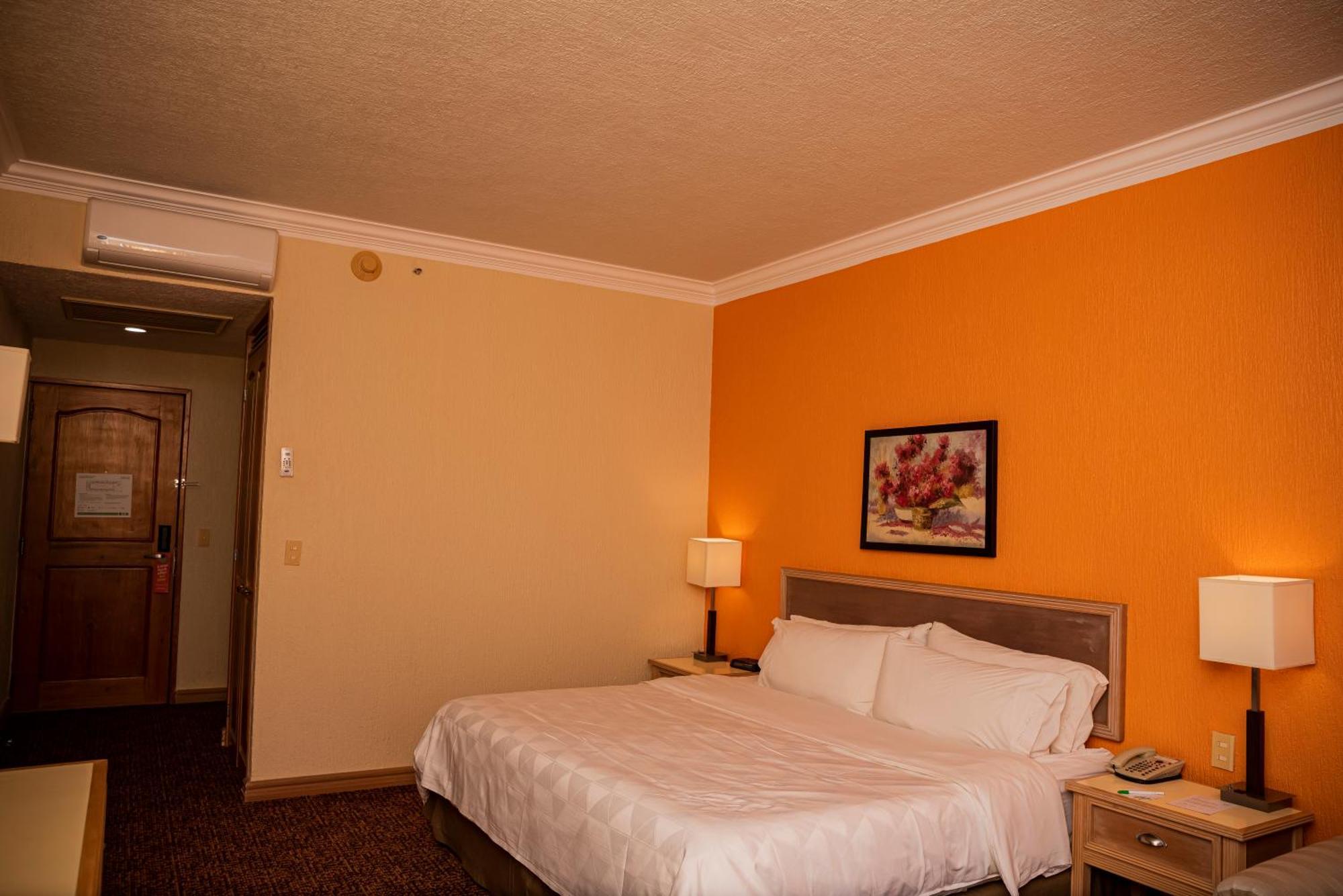 Holiday Inn La Piedad By Ihg מראה חיצוני תמונה